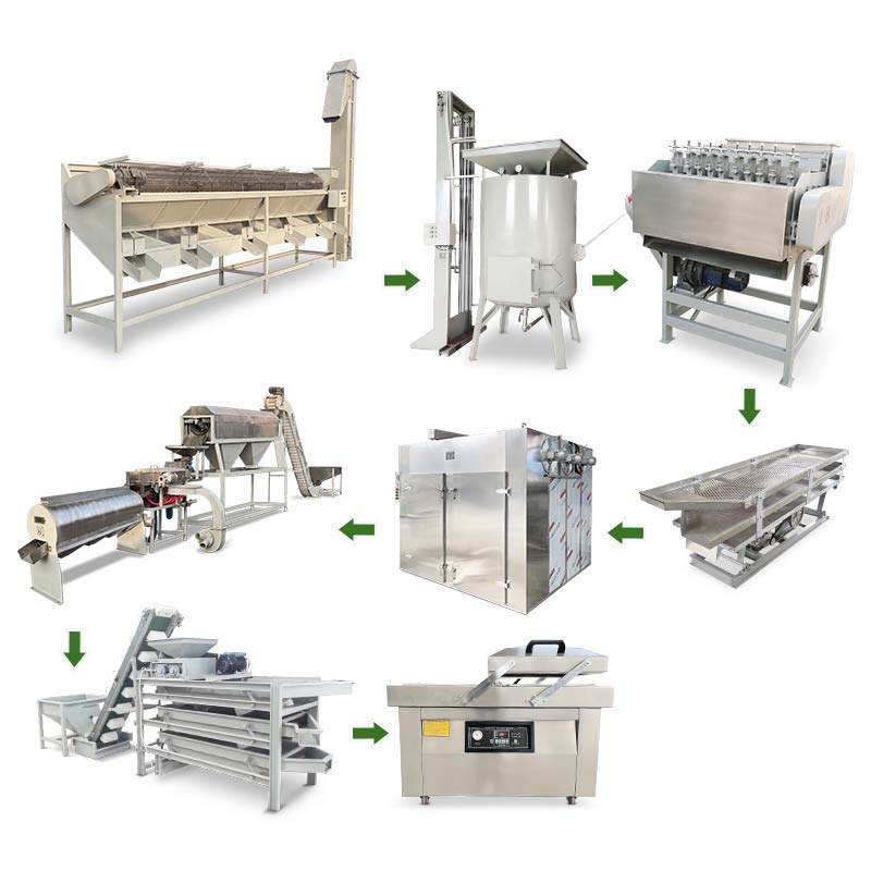 Cashew Nut Processing Line