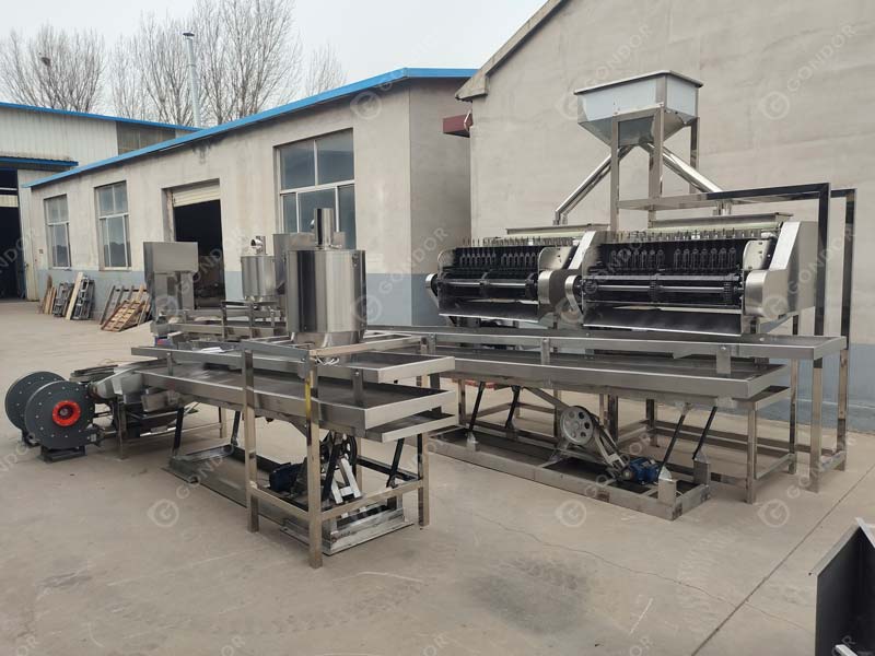 Cashew Nut Processing Line live shot2