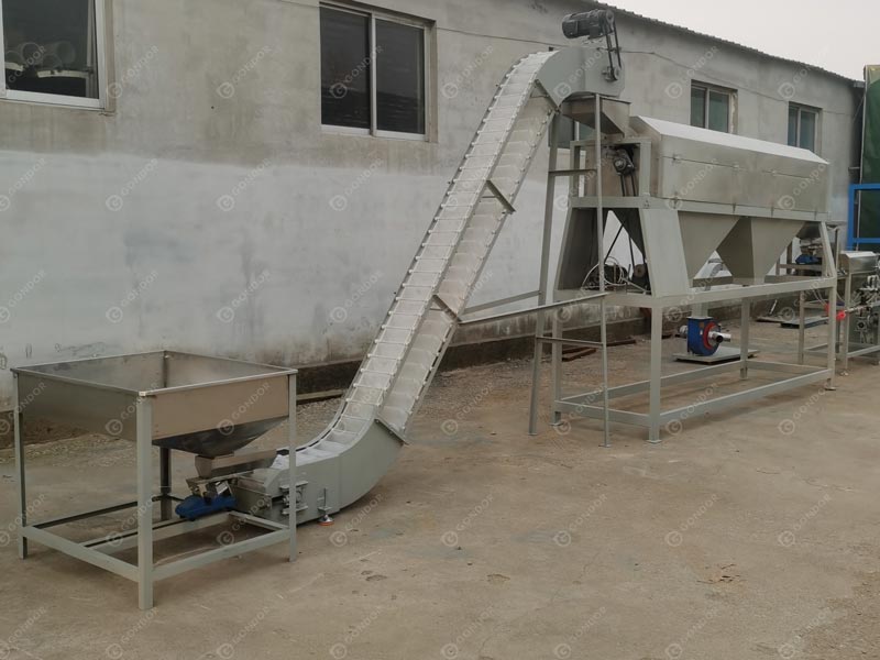 Cashew Peeling Machine