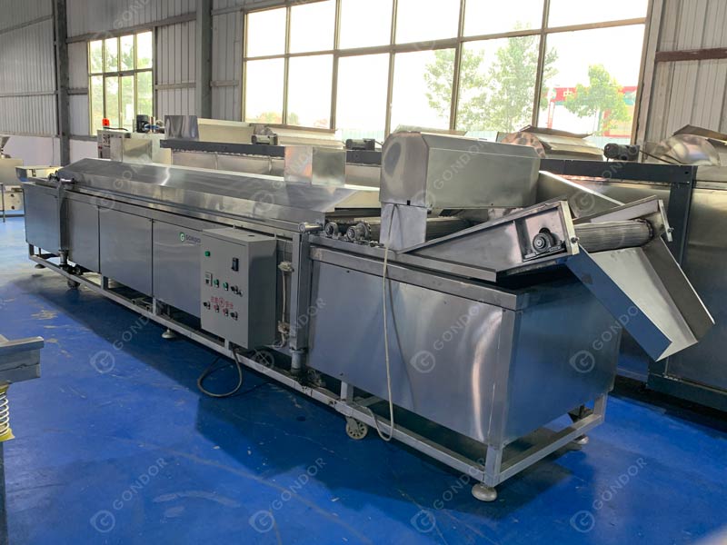 Continuous Frying Machine