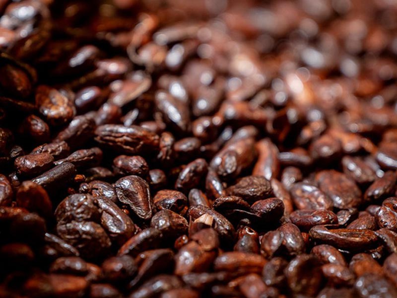 Granule Packaging Machine For Cocoa Beans