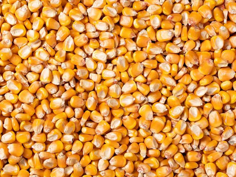 Granule Packaging Machine For Corn Seeds