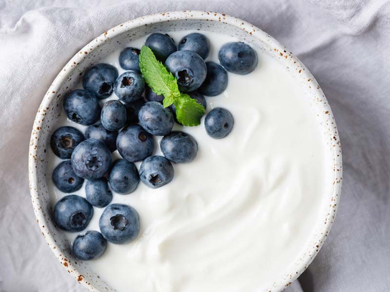 Is yogurt a processed food healthy to eat daily
