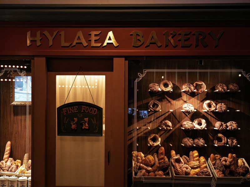 Dough Sheeter For Bakery