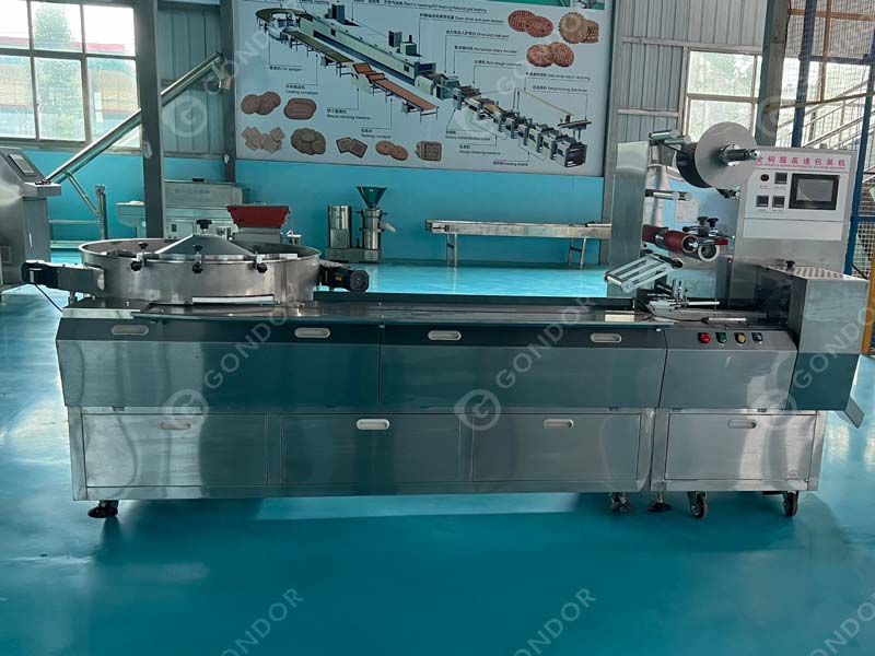 High-Speed Candy Pillow Packing Machine Live Shot2