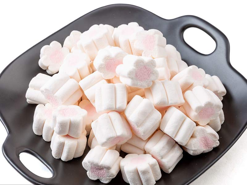 Marshmallow Production Line Flowers Marshmallow