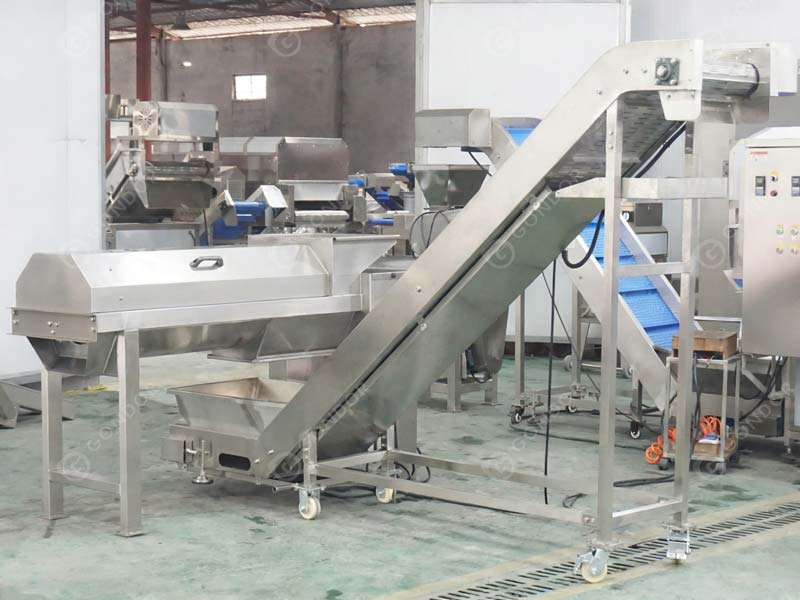 Automatic Pomegranate Peeling Machine Live Shot