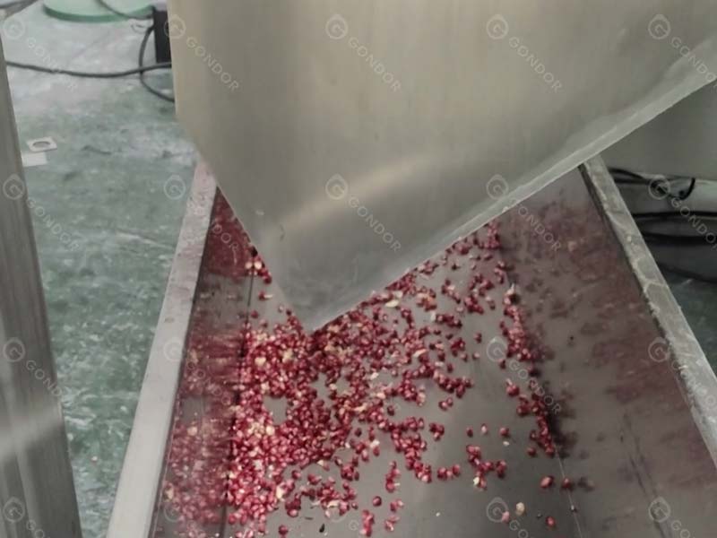 Automatic Pomegranate Peeling Machine Peeling Pomegranate Seeds