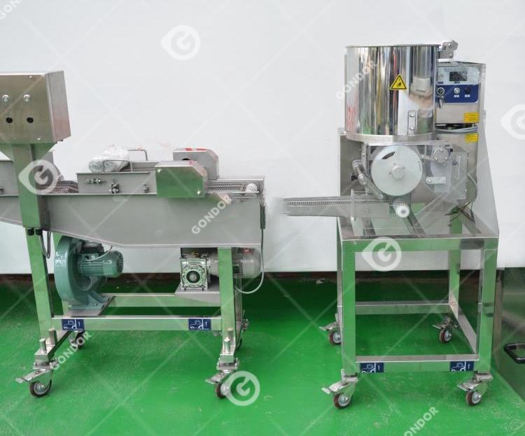 Gondor Helps a Canadian Client Establish a Meat Processing Plant