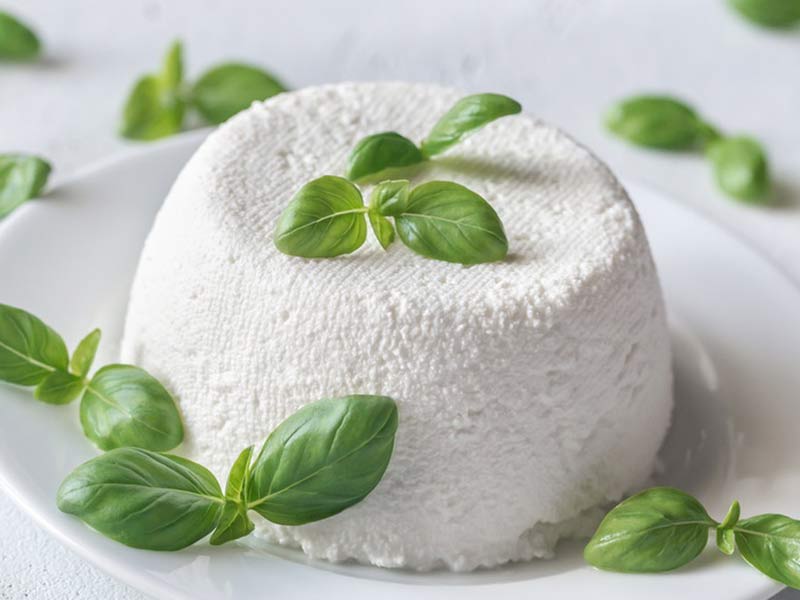 Cheese making recipes ricotta cheese quick easy