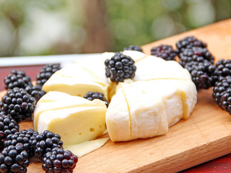 Cheese making process step by step for beginners