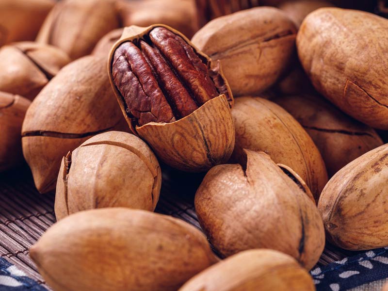Almond Sheller Machine for Pecans