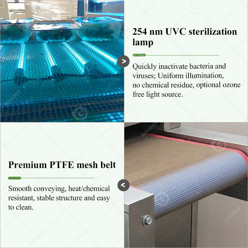 Ultraviolet Sterilization Oven