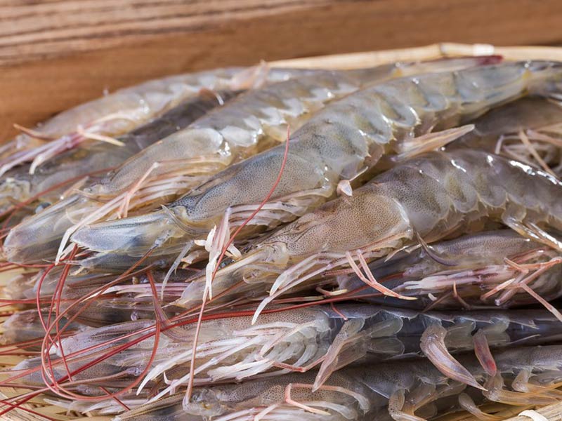 Ultraviolet Sterilization Oven for Seafoods