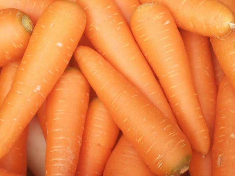 Zanahorias