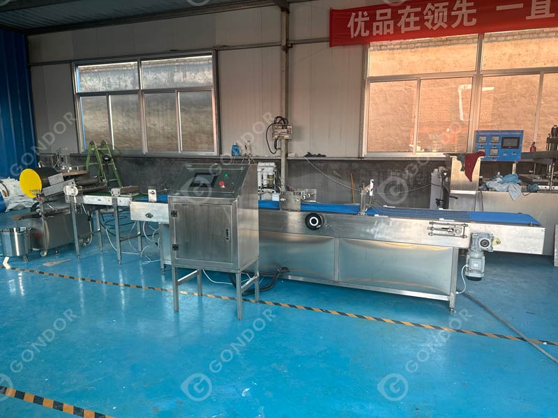 Spring Roll Production Line Live Shot1