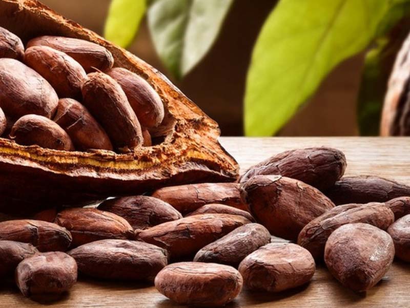 Cacao Beans