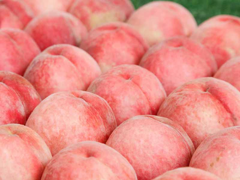 Peach