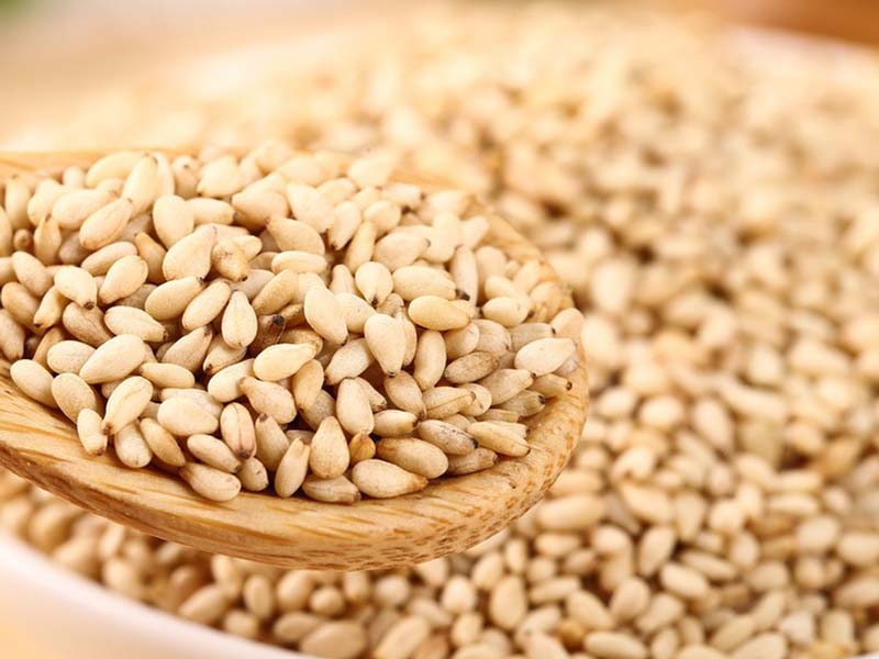 Sesame