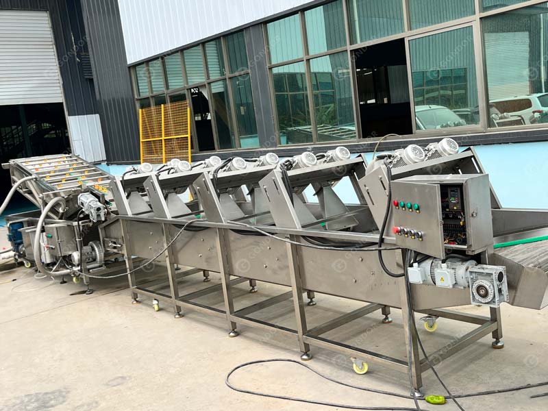 Tomato Paste Production Line Live Shot1