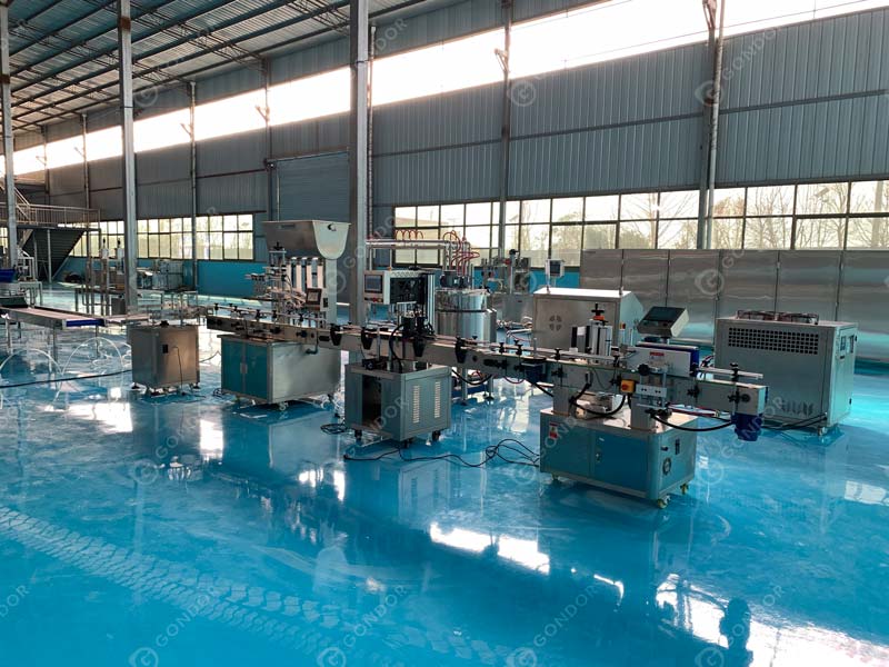 Tomato Paste Production Line Live Shot3