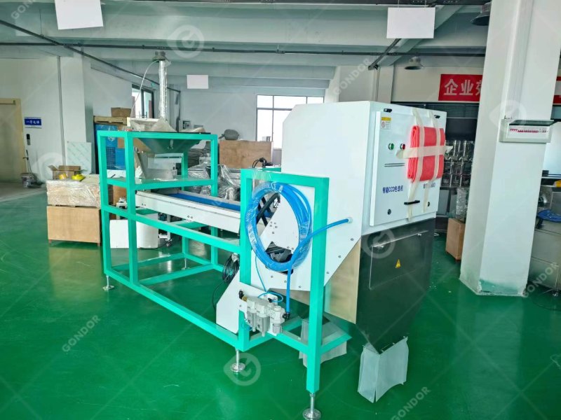 Belt Type Color Sorter