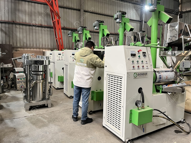 Gondor screw oil press machine.