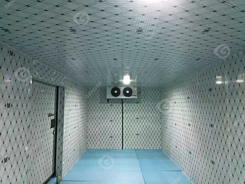 insulated modular cold room